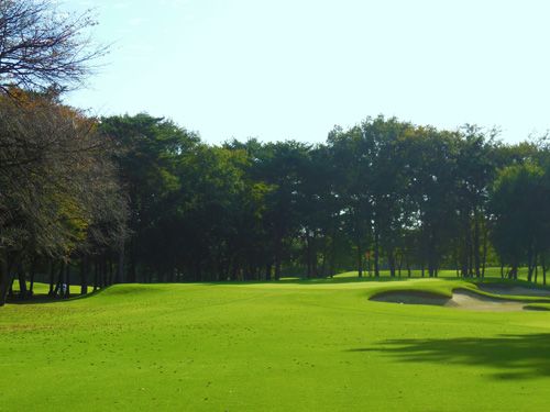 Hole 12 写真