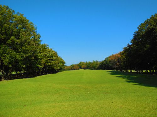 Hole 8 写真