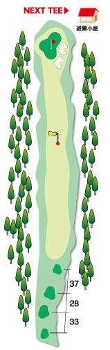 Hole 12 コースマップ