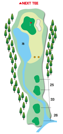 Hole 17 コースマップ